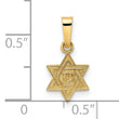 14k Polished & Textured Solid Star of David Pendant