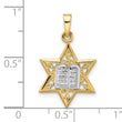 14k Two-tone Polished Solid Star and Torah Pendant