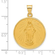 14k Polished and Satin Solid Miraculous Mary Plain Back Medal