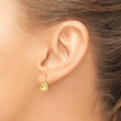 14K Polished Love Knot Leverback Earrings