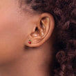 14k Polished Enameled Medium Ladybug Post Earrings - Birthstone Company