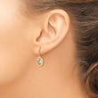 14K Polished White Rhodium Earth Dangle Earrings - Birthstone Company