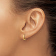 14K Hinged Hoop Earrings