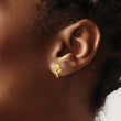 14K Polished Rose Post Earrings - Birthstone Company