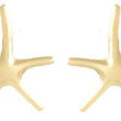 10k Starfish Earrings