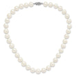 Sterling Silver Rhodium-plated 10-11mm White Near-Round Freshwater Cultured Pearl 16 inch Necklace
