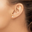 14K Gold Freshwater Pearl Stud Earrings Polished Elegance