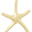 10k Dancing Starfish Charm