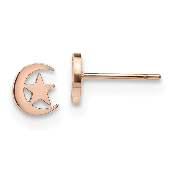 Stainless Steel Polished Rose IP-plated Moon and Star Post Earrings