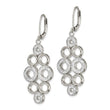 Stainless Steel Polished w/Preciosa Crystal Leverback Dangle Earrings