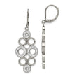Stainless Steel Polished w/Preciosa Crystal Leverback Dangle Earrings
