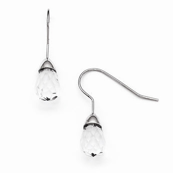 Stainless Steel Polished Glass Shepherd Hook Earrings - Birthstone Company