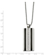 Stainless Steel Polished Black IP CZ Necklace
